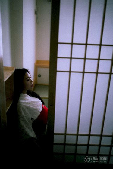 《白夜破晓17》